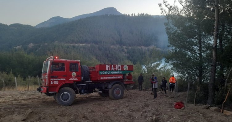 Osmaniye de orman yangını