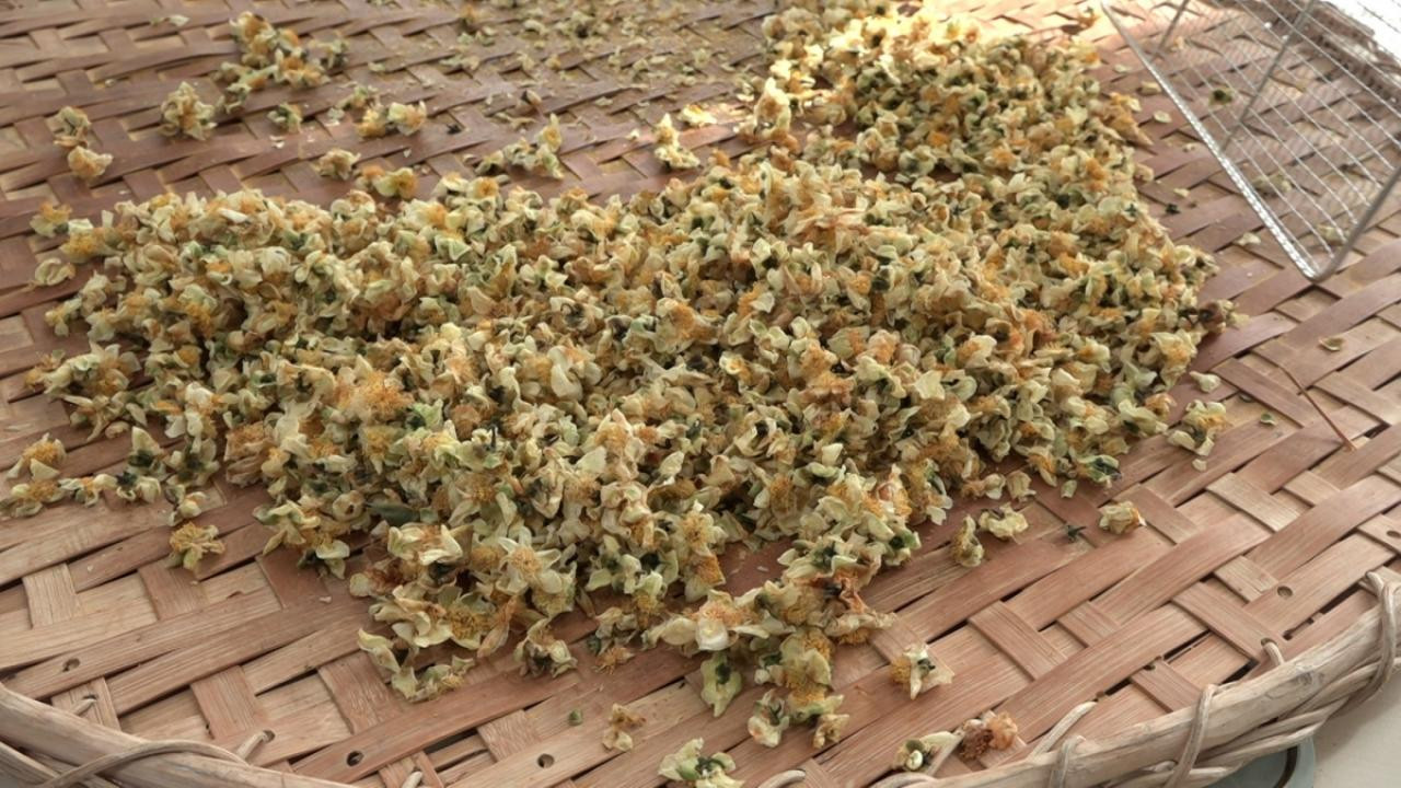 Doğu Karadeniz'in yeni gözdesi: Kilosu 6 bin liradan satılıyor