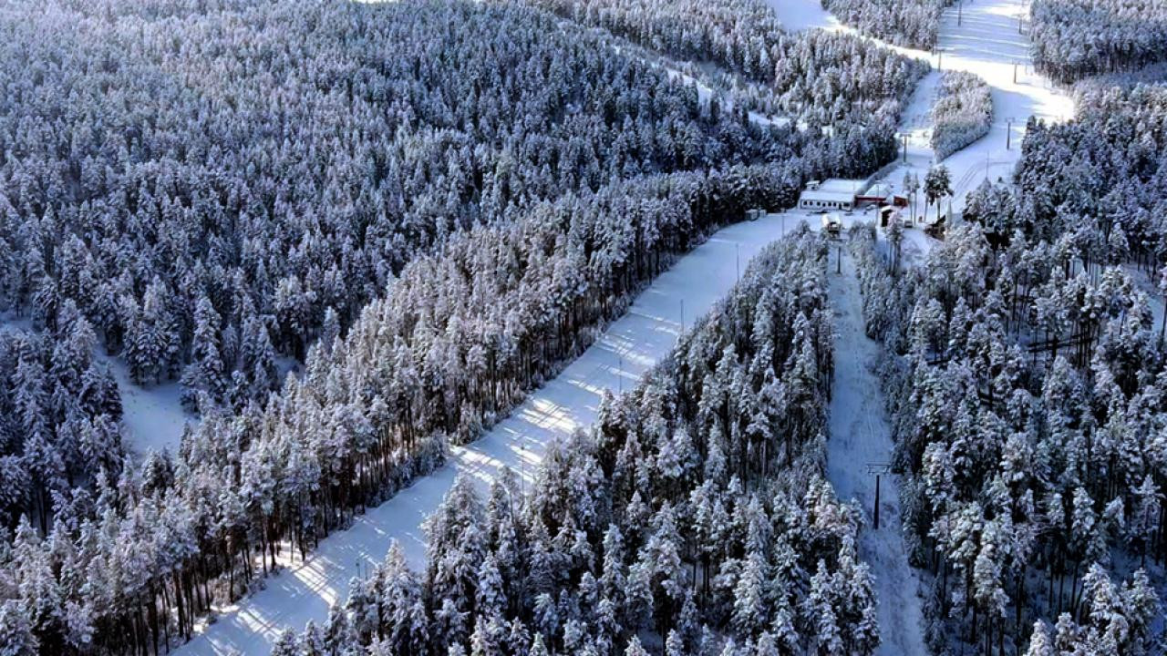 Sarıçam ormanlarında beyaz rüya: Kars'ta karla kaplanan ormanlar dronla görüntülendi