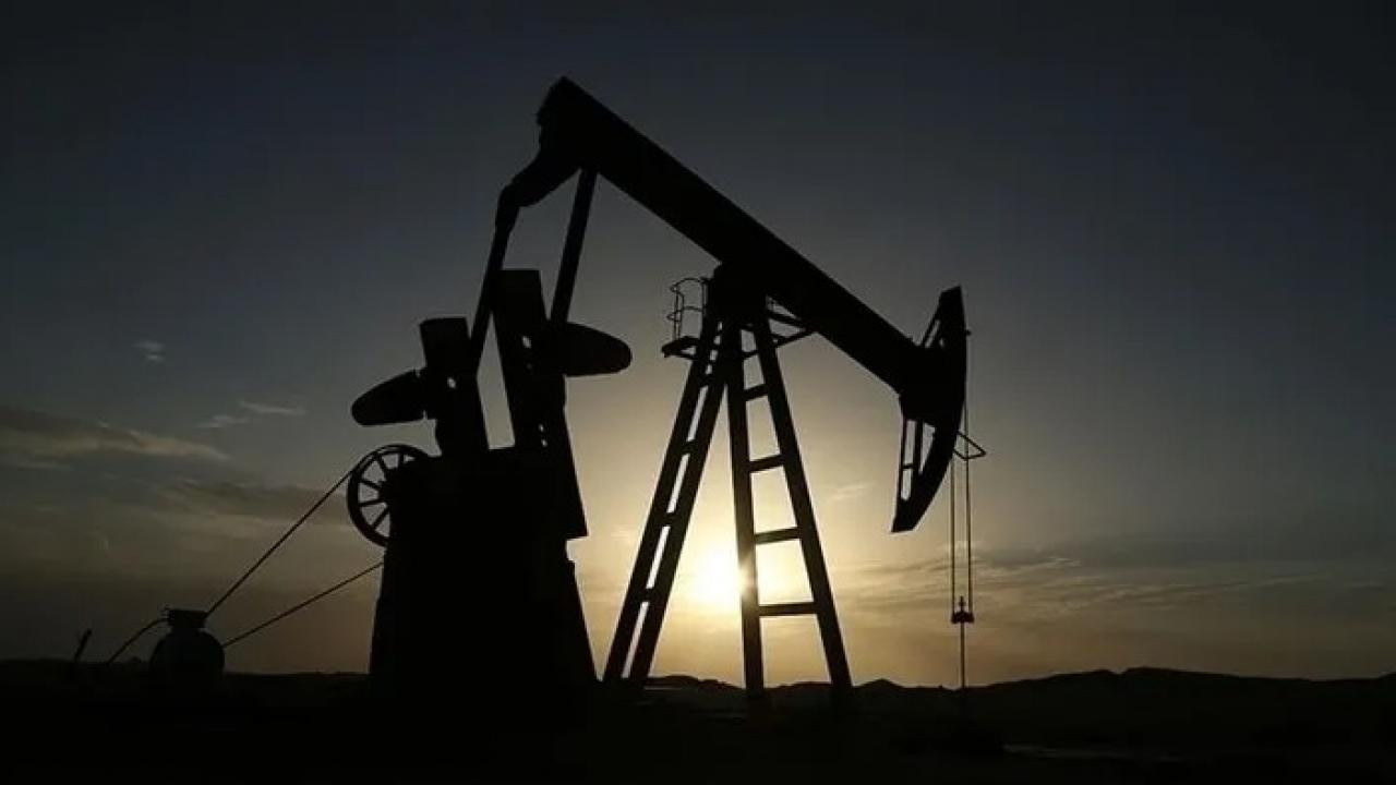 TPAO'nun4 petrol arama ruhsatına süre uzatımı