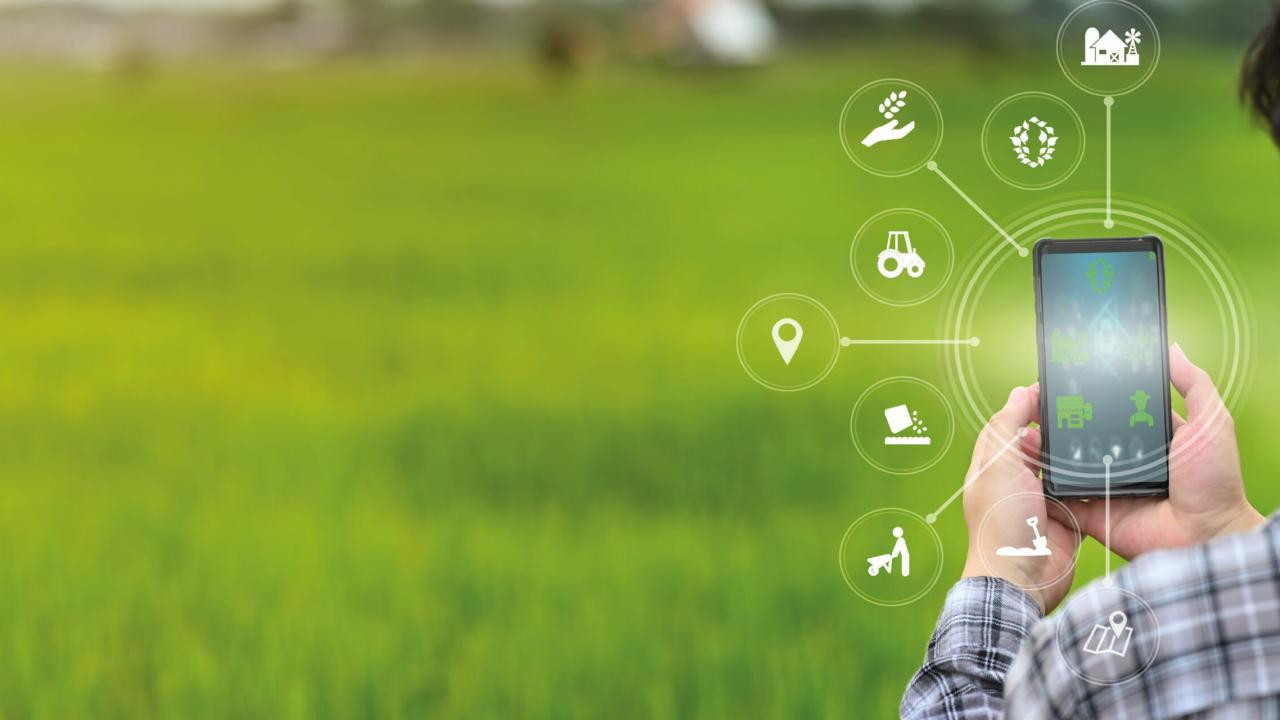 Türkiye tarımında yeni çağ: Otonom Çiftlikler dönemi başlıyor